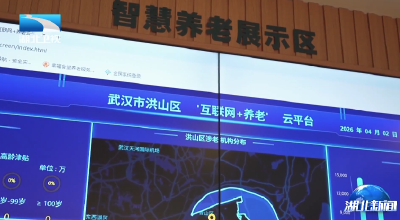 103岁老人的幸福密码：AI“养老搭子”触手可及