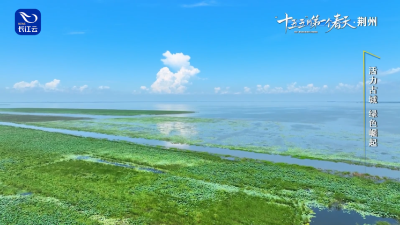 一吨“面粉”卖出800万，荆州的硬核密码