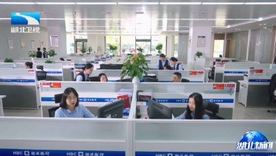 权威发布 | 加大要素支持力度 湖北出台新规护航民营经济