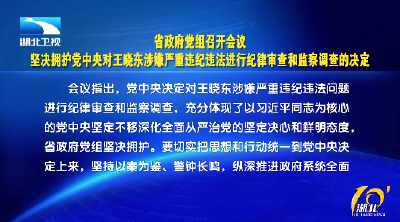 省政府党组召开会议 坚决拥护党中央对王晓东涉嫌严重违纪违法进行纪律审查和监察调查的决定