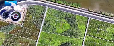 树立和践行正确政绩观 | 十堰：以潜绩守清水 做好“两山”文章