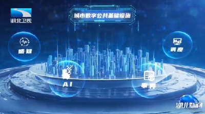 暴雨背后 读懂武汉AI治理的三层密码
