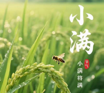 今日，小满