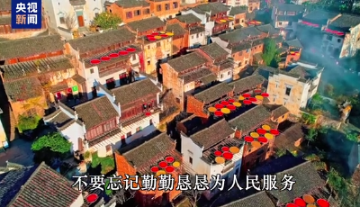 时政微视频丨拳拳赤子心