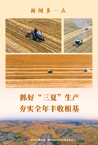 新闻多一点｜抓好“三夏”生产 夯实全年丰收根基