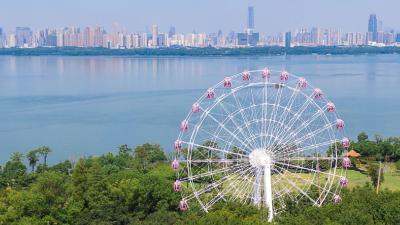 免票！优惠！武汉40+景区官宣