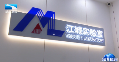 硬核中国上新了 | 湖北这块“海绵” 试样生产  有效破解AI芯片卡顿难题