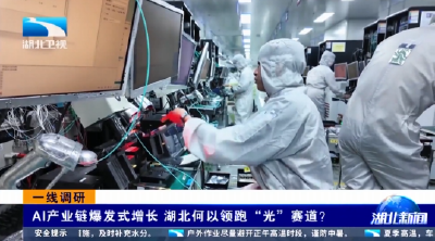 一线调研 | AI产业链爆发式增长 湖北何以领跑“光”赛道？