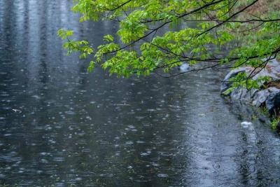37℃！中雨、大雨、雷阵雨！湖北梅雨倒计时了？