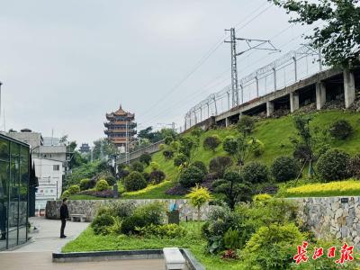 何以中国 | 千年黄鹤楼交出当代答卷