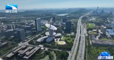 光谷青桐汇Ultra专场的“热”与“活”丨资本追着技术跑 企业跟着生态来