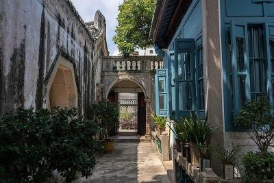 《给阿嬷的情书》票房超15亿元！带动潮汕文旅热度不断攀升