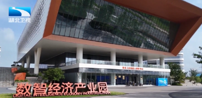 一线调研 | 招聘需求增长378% AI产业催生新岗位新职业