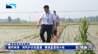 贯彻落实全会精神 | 襄阳南漳：清风护农助夏播 精准监督保丰收