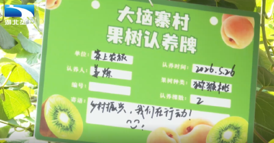 黄冈英山：认养一棵树 带火一个村