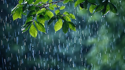 33°C、34°C、35°C！热力升级、雨水返场，湖北局地大雨、暴雨、雷电来袭