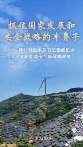 践行习近平总书记重要论述深入实施能源安全新战略