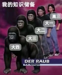 为啥一高考完，学了三年的东西就立马忘干净了？