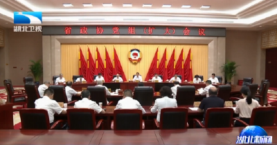 省政协召开党组会议 孙伟主持并讲话