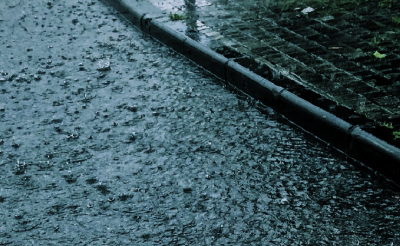 单点300毫米特大暴雨，12级雷暴大风来袭！湖北发布社会公众风险提示