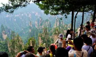 警惕“保险客户旅游”陷阱！两部门发布提示