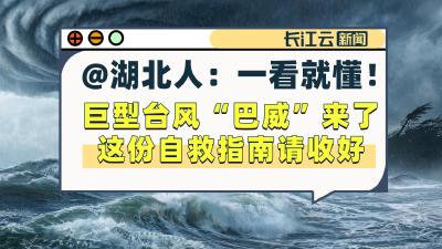 @湖北人：一看就懂！巨型台风“巴威”来了 这份自救指南请收好