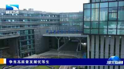 争当高质量发展优等生 | 湖北高技术制造业强势增长 新动能引领作用持续增强