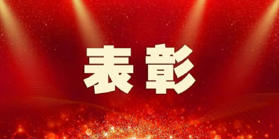 中共中央关于表彰全国优秀共产党员、全国优秀党务工作者和全国先进基层党组织的决定