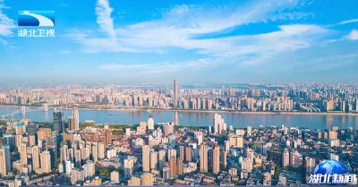 争当高质量发展优等生 | 湖北全力冲刺全国大健康产业发展高地