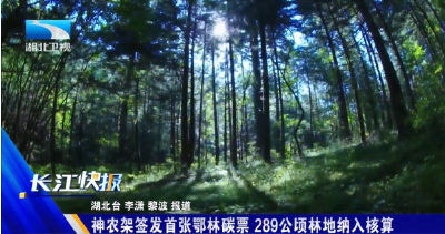 神农架签发首张鄂林碳票 289公顷林地纳入核算