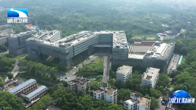 牢记嘱托 用创新书写支点答卷 | 一场科技成果的“接力跑”