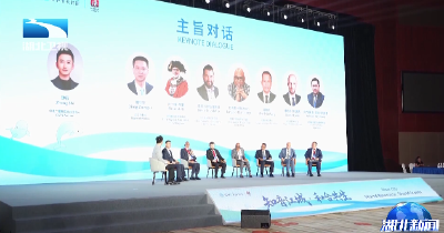 江豚为礼叙情谊 世界市长对话开启武汉友城新合作