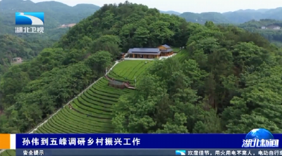 孙伟到五峰调研乡村振兴工作