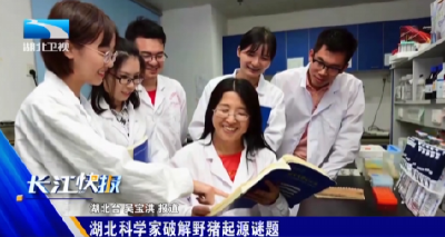 湖北科学家破解野猪起源谜题