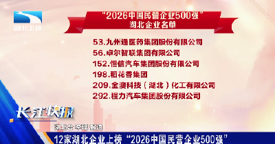 12家湖北企业上榜“2026中国民营企业500强”