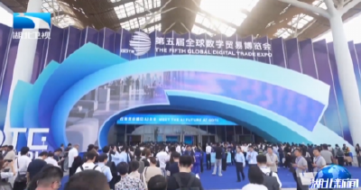陈平出席第五届全球数字贸易博览会