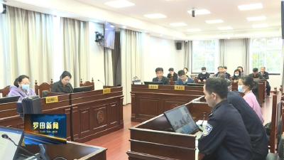 罗田县人民检察院：断卡行动出实招 公开听证显阳光