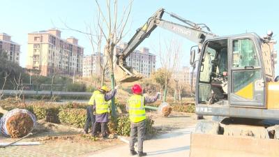 罗田县园林绿化服务中心：让绿化树木安全过冬
