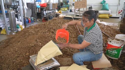 匡河镇：油菜产业全链条发展  开启乡村振兴新篇