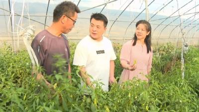 罗田县通过发展设施农业 为群众开辟增收致富新途径 