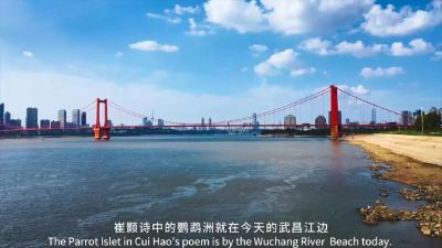 古鹦鹉洲如今在哪里？天兴洲还会“漂移”吗？