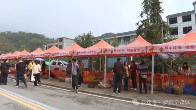 黄冈罗田：小甜柿点燃乡村消费热潮 