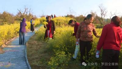 黄冈罗田：发展药旅融合 助力乡村振兴