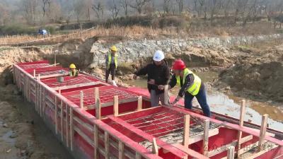 黄冈罗田：推进高标准农田建设 赋能种业高质量发展 