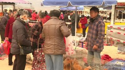 黄冈罗田：乡村赶大集 浓浓烟火气 