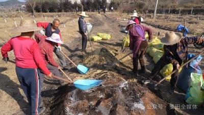 黄冈罗田：“药香”变“药财” 中药材产业全域绽放  