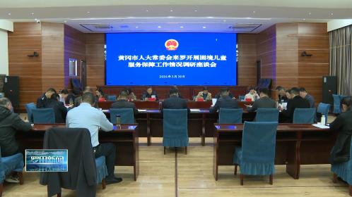 郭小野到罗田县调研困境儿童服务保障工作