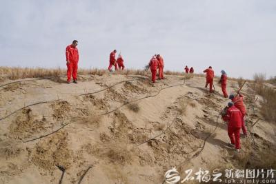 美丽新疆丨沙漠镶绿，零碳焕新 这条公路的“变身”太燃了