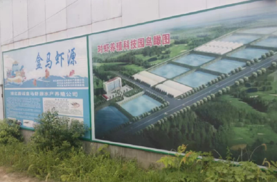 高桥镇邓家湾村：成功引进外资 建成水产养殖基地