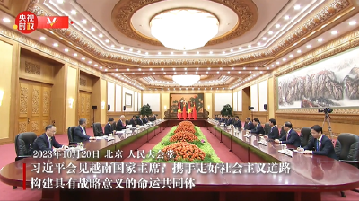 独家视频丨习近平会见越南国家主席：携手走好社会主义道路 构建具有战略意义的命运共同体
